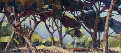 Coastal Pines | 2018 | Oil on Canvas | 36 x 52 cm